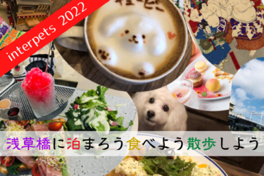 【 ペット可ホテル・レストラン 】インターペット東京2022に行くなら浅草橋・隅田川エリアに泊まろう＆喰らおう＆散歩しよう