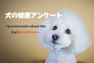 【 本当に大丈夫？ 】愛犬の健康に関するアンケートのリアルデータを発表