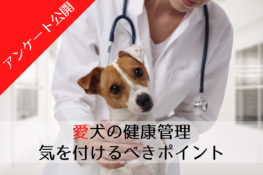 【 アンケートから分かる 】愛犬の健康管理で気を付けるべきポイント