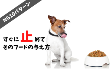 【 NG10選 】今すぐやめてほしい愛犬のフードの食べさせ方