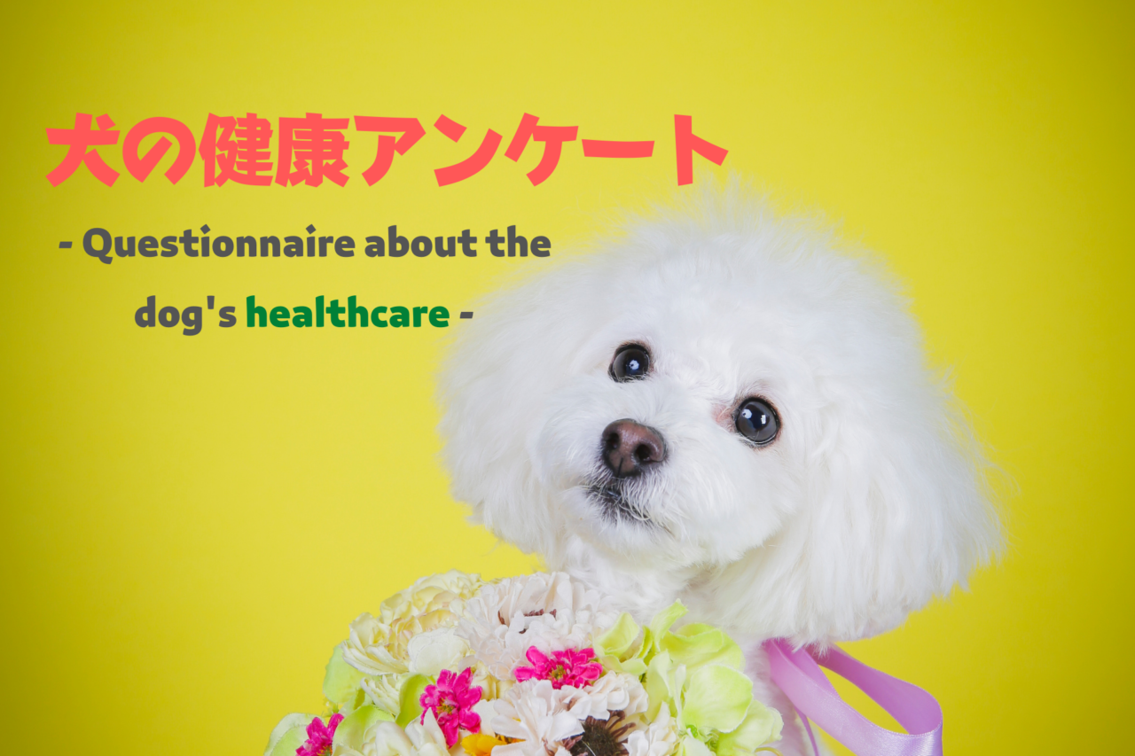 犬の健康管理アンケート