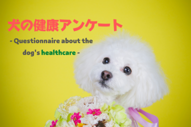 【 アンケートから分かる 】コロナ禍の愛犬の健康データ一挙公開