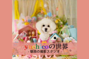 【 犬の写真スタジオ 】東京の中心でメルヘンな1枚を撮る – created by yuchico –