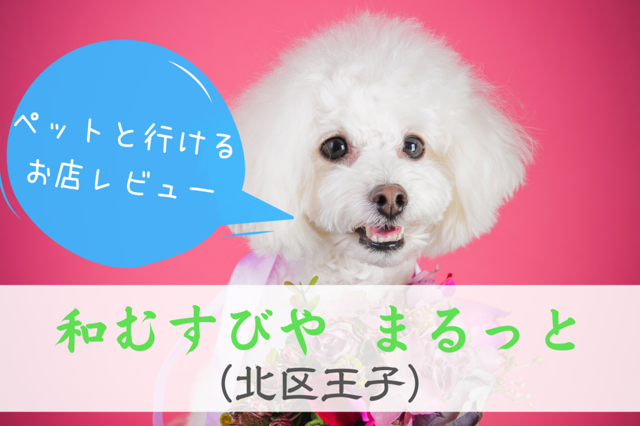 和むすびや まるっと、ペット可能、ペット入店可能、東京都北区、ドッグカフェ、王子駅
