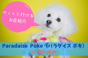 Paradise Poke、パラダイスポキ、ドッグカフェ、ペット入店可能、ペット同伴可能、東京都台東区蔵前2-4-8、犬連れ