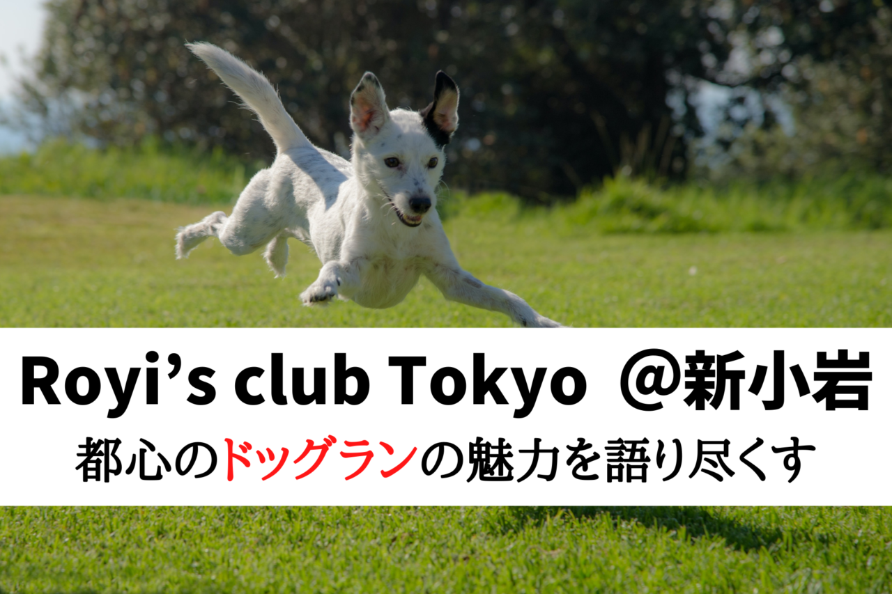 Royi's club Tokyo、ロイズクラブトーキョー、ロイズクラブ東京、東京都葛飾区新小岩、ドッグラン、ドッグカフェ