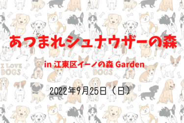 あつまれシュナウザーの森（2022年9月25日（日））｜イーノの森 Dog Garden（東京都江東区夢の島）