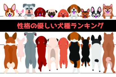 性格の優しい犬種ランキング