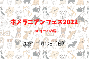ポメラニアンフェス2022（2022年11月13日（日））｜イーノの森 Dog Garden（東京都江東区夢の島）