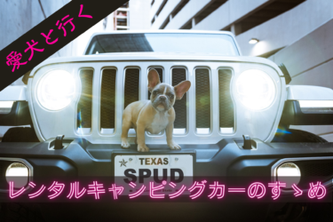 【 キャンピングカーレンタル 】愛犬と行く車中泊のすすめ｜山梨県＆長野県