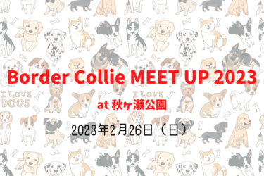 Border Collie MEET UP 2023 – Border Collie rooted in Great Britain –（2023年2月26日（日））｜秋ヶ瀬公園（埼玉県さいたま市）