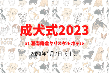 成犬式2023