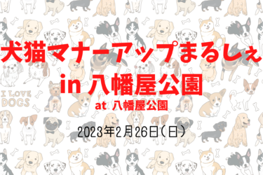 犬猫マナーアップまるしぇin 八幡屋公園（2023年2月26日(日)）｜八幡屋公園（大阪府大阪市）