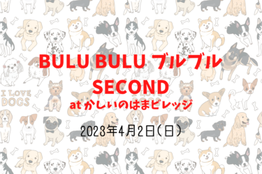 BULU BULU ブルブル SECOND（2023年4月2日（日））｜かしいのはまビレッジ（福岡県福岡市）