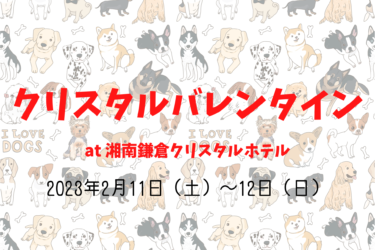 クリスタルバレンタイン（2023年2月11日（土）～12日（日））｜湘南鎌倉クリスタルホテル（神奈川県藤沢市）
