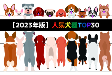 【 2023年版 】人気犬種ランキングTOP30