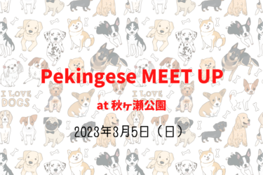 Pekingese MEET UP ペキニーズミートアップ 2023（2023年3月5日（日））｜秋ヶ瀬公園（埼玉県さいたま市）