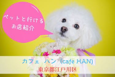 【 江戸川区 】カフェ ハン（cafe HAN)｜篠崎公園ドッグランと合わせて訪れたいドッグカフェ