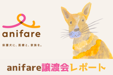 【 保護犬・保護猫譲渡会 】anifare（アニフェア）の譲渡会を紹介します