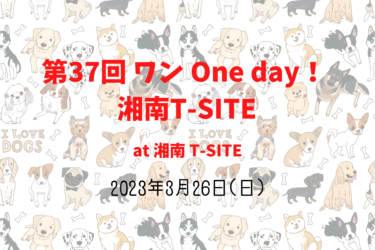 第37回 ワン One day！ 湘南T-SITE（2023年3月26日(日)）｜湘南 T-SITE（神奈川県藤沢市）