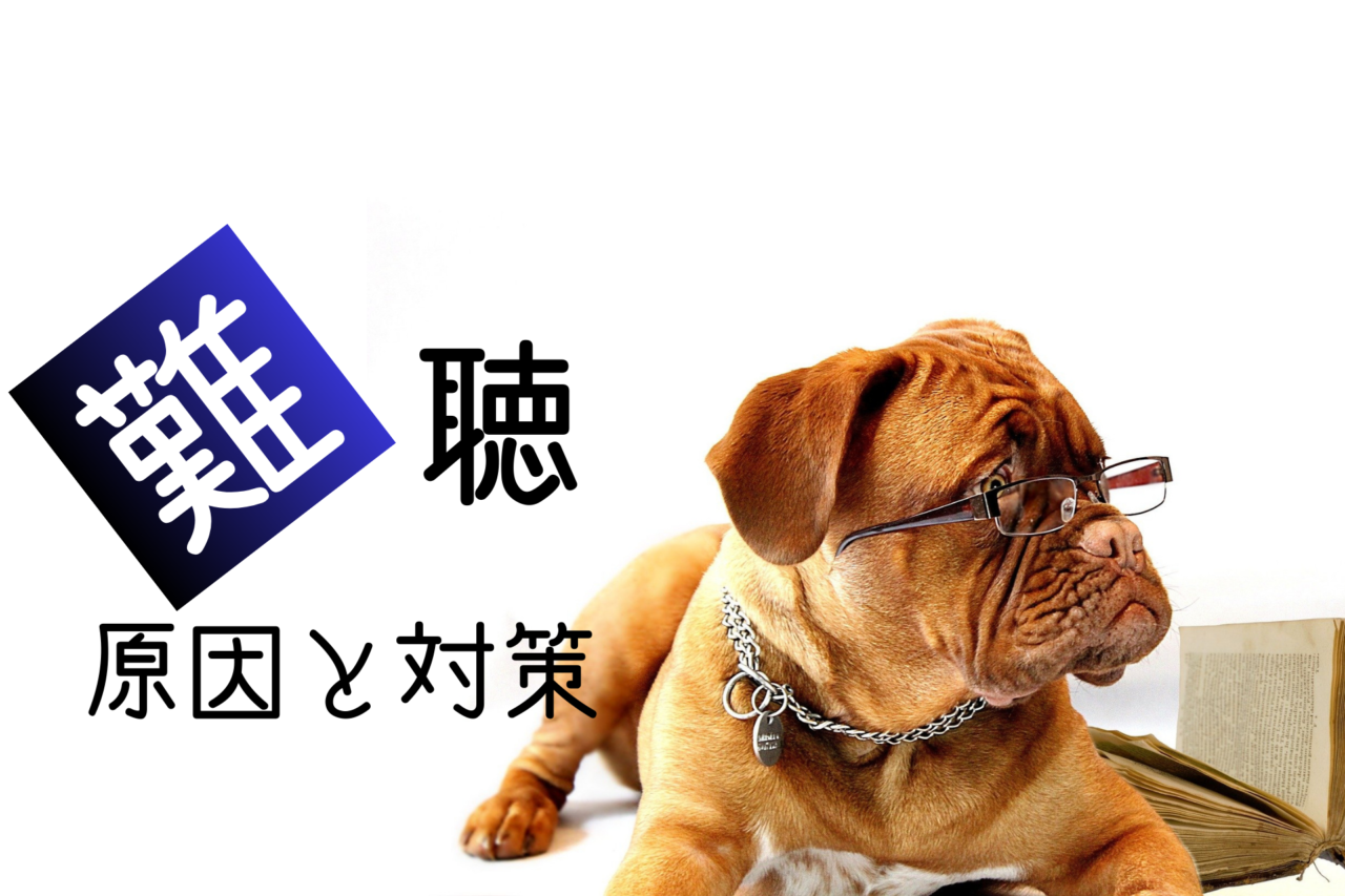 犬の難聴、原因、対策、予防
