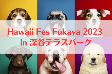 Hawaii Fes Fukaya 2023 in 深谷テラスパーク（2023年4月22日(土)～23日(日)）｜深谷テラスパーク（埼玉県深谷市）