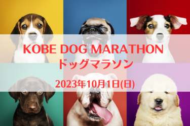 KOBE DOG MARATHON ドッグマラソン（2023年10月1日(日)）｜兵庫県神戸市界隈（兵庫県神戸市）