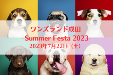 ワンズランド成田 -Summer Festa 2023-（2023年7月22日（土））｜ワンズランド成田（千葉県成田市）
