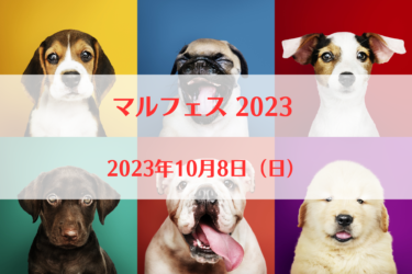 マルフェス 2023 （2023年10月8日（日））｜イーノの森（東京都江東区）
