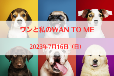 ワンと私のWAN TO ME（2023年7月16日（日））｜ギャラリーろくさん（東京都板橋区）