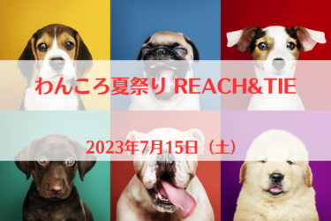 わんころ夏祭り REACH&TIE（2023年7月15日（土））｜アンクロダ（愛知県新城市）