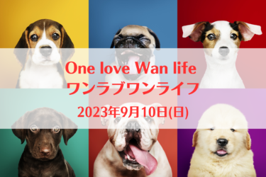 One love Wan life ワンラブワンライフ（2023年9月10日(日)）｜ガモウパーク（宮城県仙台市）