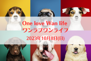 One love Wan life ワンラブワンライフ（2023年10月8日(日)）｜亀岡ベース（宮城県東松島市）