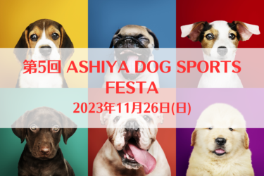 第5回 ASHIYA DOG SPORTS FESTA（2023年10月28日(土)～29日(日)｜アシヤドッグスポーツフェスタ（兵庫県芦屋市）