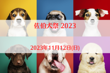 佐伯犬祭 2023（2023年11月12日(日))｜池船スポーツ公園（大分県佐伯市）