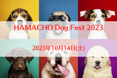 HAMACHO Dog Fest 2023（2023年10月14日(土))｜あやめ第一公園（東京都中央区）