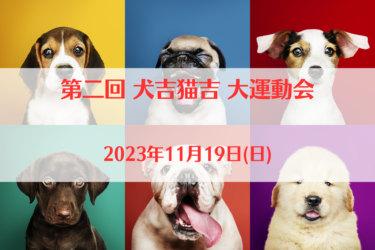第二回 犬吉猫吉 大運動会（2023年11月19日(日)）｜山陽ふれあい公園（ 岡山県赤磐市）
