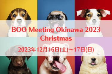 BOO Meeting Okinawa 2023 Christmas（2023年12月16日(土)～17日(日))｜てだこ広場（沖縄県浦添市）
