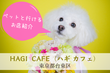 【 東京都台東区 】HAGI CAFE （ハギ カフェ）｜超絶雰囲気のいいオトナカフェ