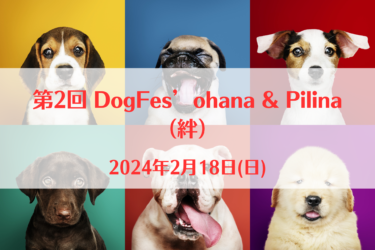 第2回 DogFes’ohana & Pilina （絆）（2024年2月18日(日))｜ 霞ヶ浦ふれあいランド（茨城県行方市）